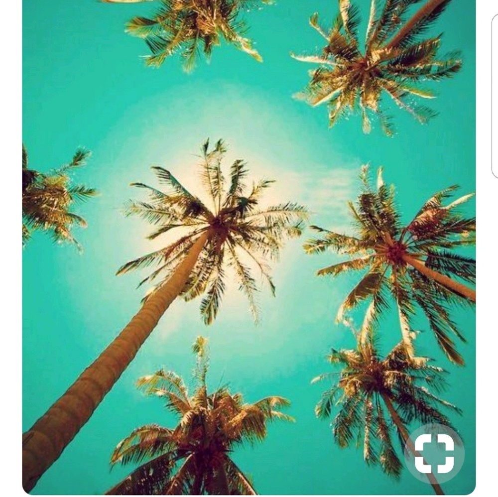 Meet your Posher, Dawn